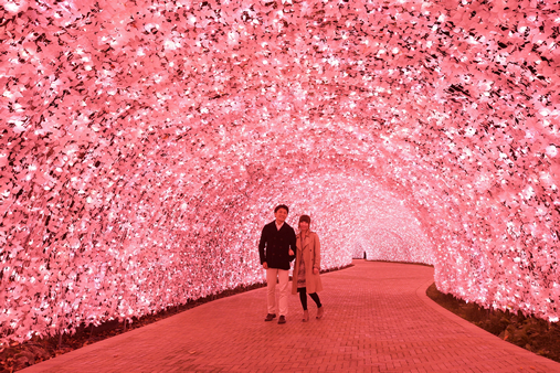 LED тунел от светодиоди в Япония - Nagashima